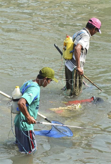 Setrum Ikan Overload