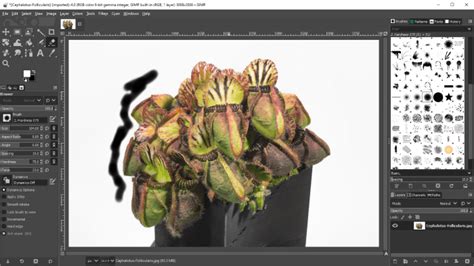 Setting Up a New GIMP Project with Transparency