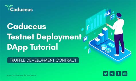Setting Up a Testnet Environment for DApp Development