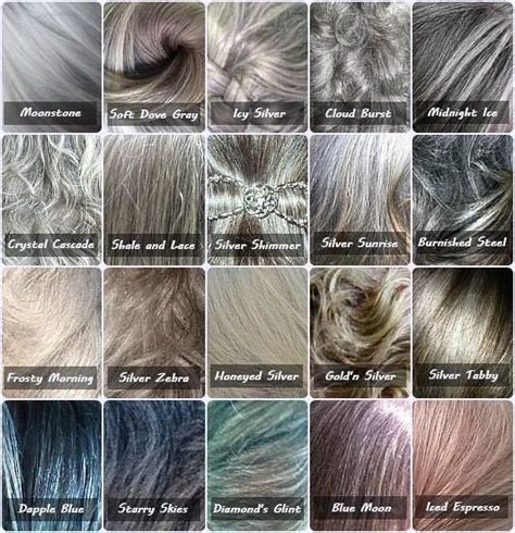 Shades Of Grey Hair Color Chart