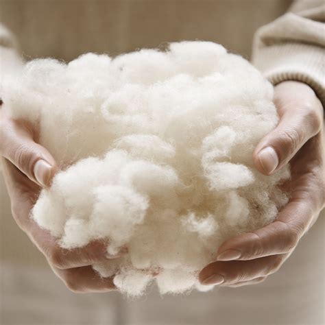 Sheep wool