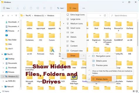 Show Hidden Files and Folders