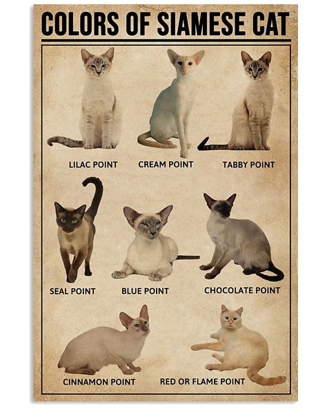 Siamese Color Chart