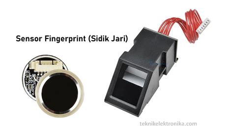 Sidik Jari