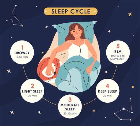 Siklus Tidur