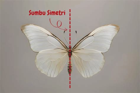 Simetri dalam Fisika