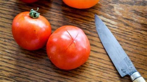 Simpan Buah Tomat