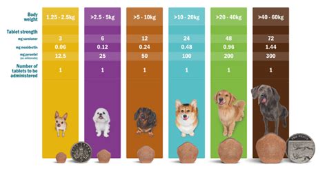 Simparica Trio Size Chart