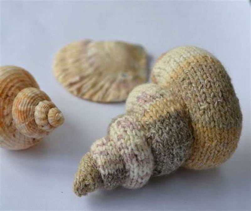 Simple Shell Knitting Pattern Free