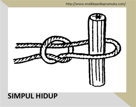 Simpul Hidup