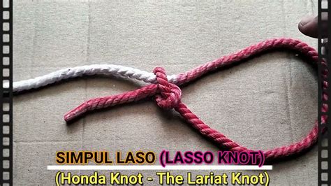 Simpul Laso