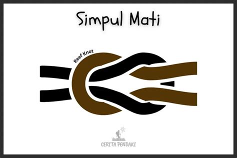 Simpul Mati