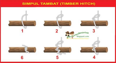Simpul Tambat