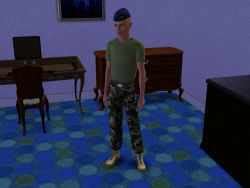 Sims 3 Military Career