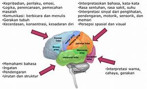 Sindrom Lemah Otak Pusat