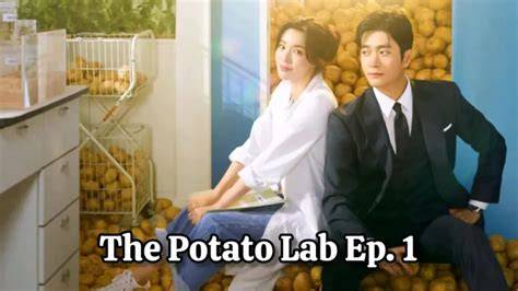 Sinopsis Singkat Potato Lab