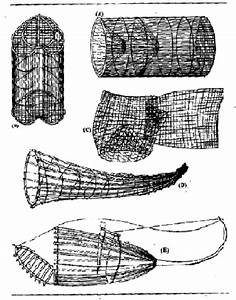 Size and Shape of Fish Trap