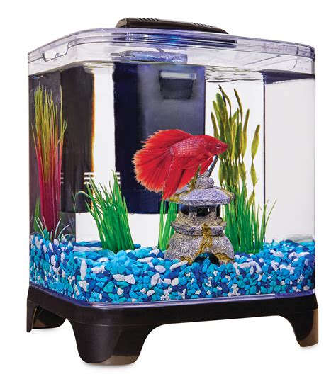 Small Desktop Betta Fish Tanks