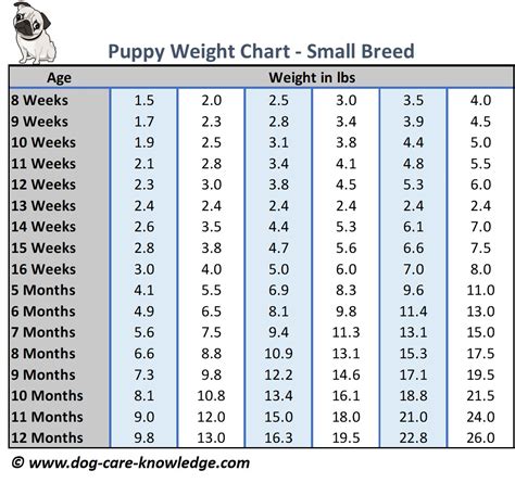 Small Dog Growth Chart