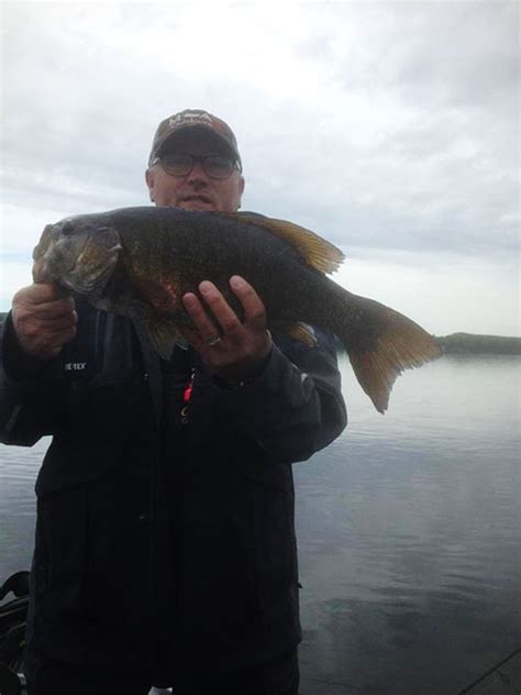 Smallmouth Bass in Lake Gogebic