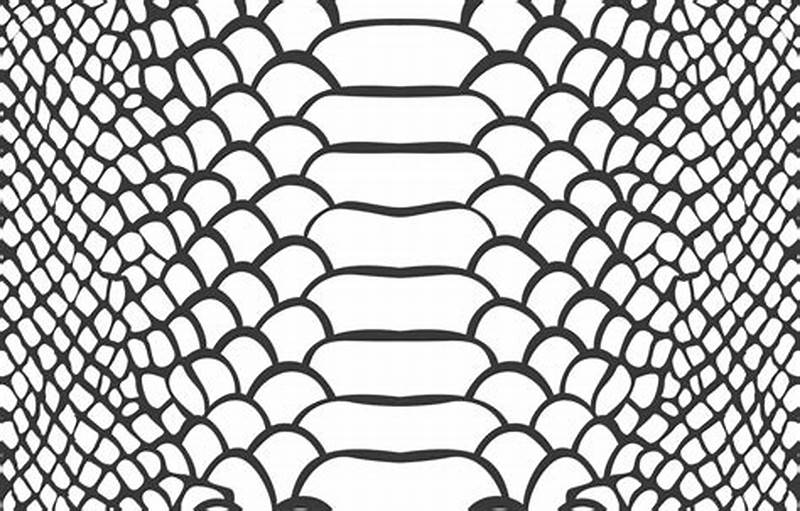 Snake Skin Pattern Drawing