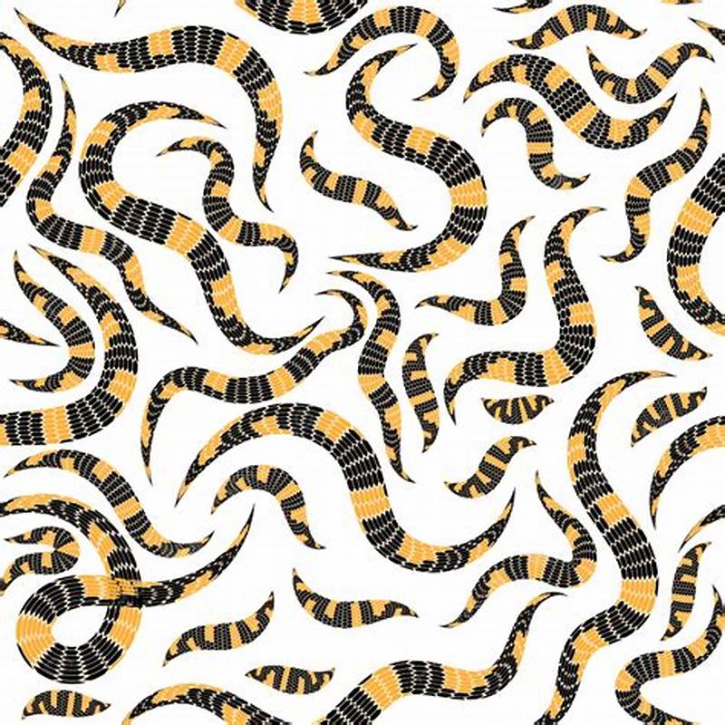 Snake Winning Pattern