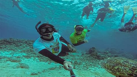 Snorkeling di Pulau Maluku