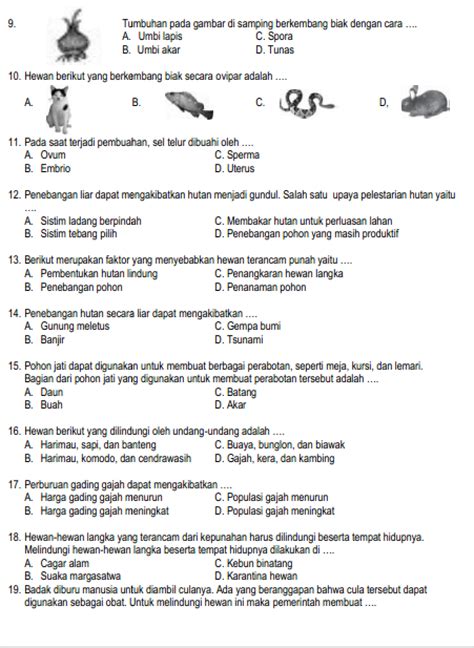 Soal IPA Kelas 6 Semester 1 Dan Kunci Jawaban PDF