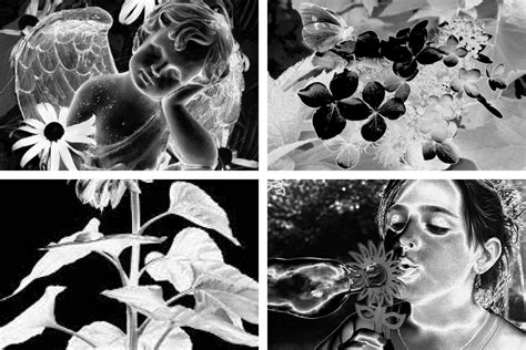 Solarization