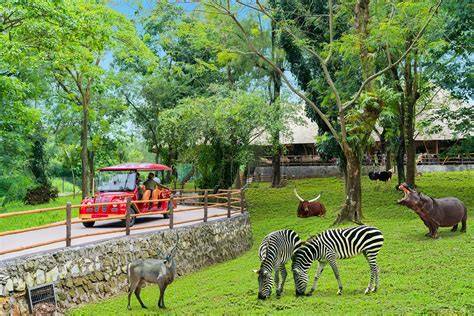 Solo Safari Hewan