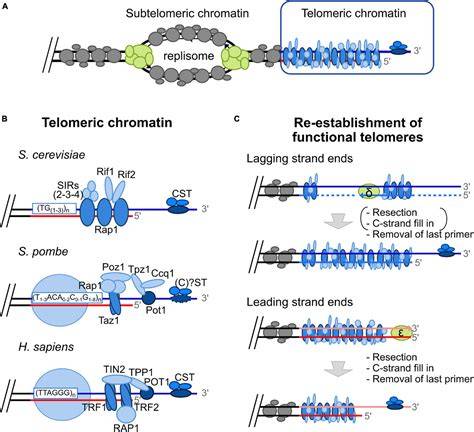 Solving UE-V Replication Problems