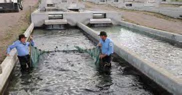 Special hatchery waters in New Mexico