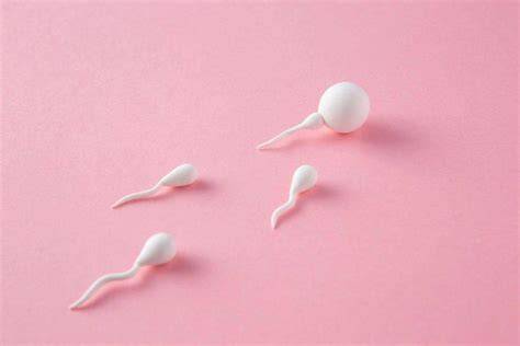 Sperma