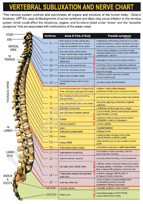 Spinal Subluxation Chart
