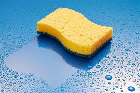 Sponge absorbing water