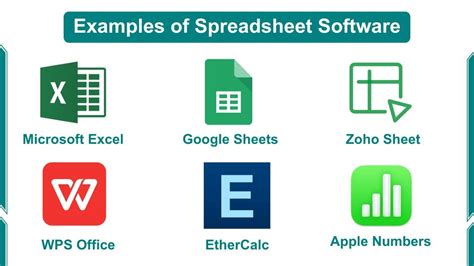 Spreadsheet Software