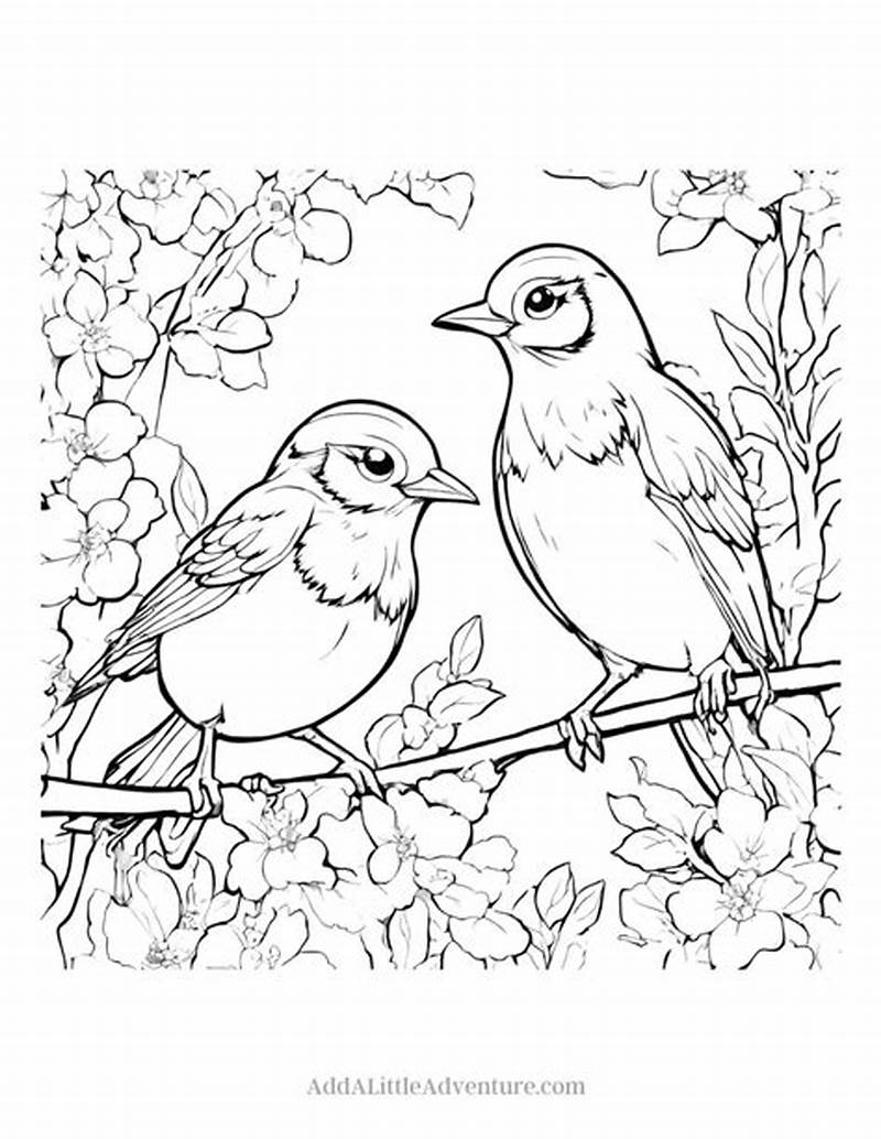 Spring Birds Coloring Pages