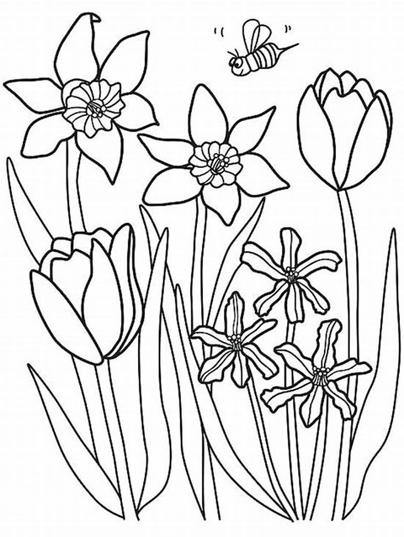 Spring Coloring Pages Flowers