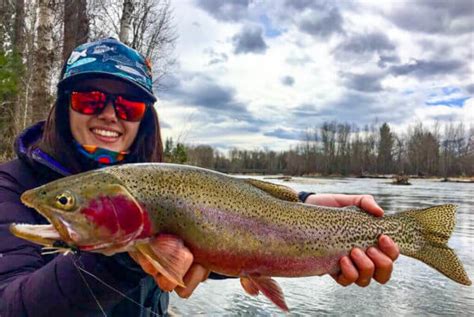 Spring Fly Fishing in Montana