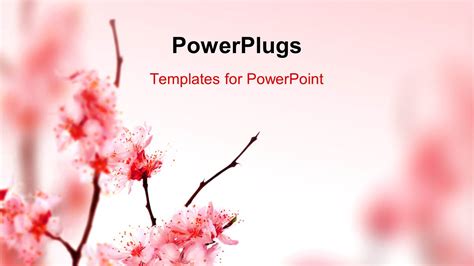 Springtime Powerpoint Templates