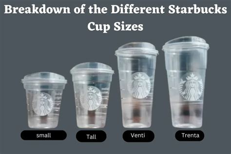 Starbucks Cup Size Chart
