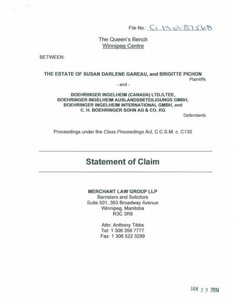 Statement Claim Examples