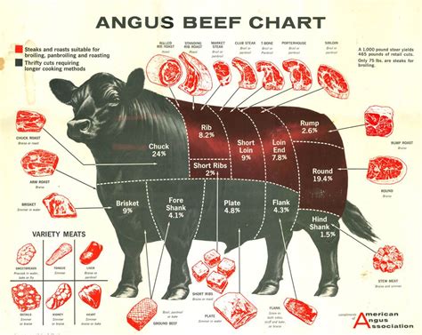 Steak Chart Cow