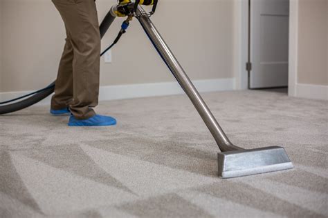 Steam Cleaning Carpet Photography