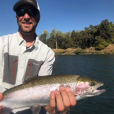 Steelhead Fishing in the Feather River