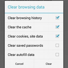 Step 5: Clear the Browsing Data