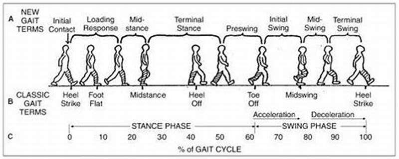 Step Through Vs Step To Gait Pattern
