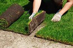 Steps to Install Sod