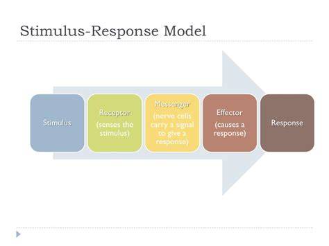 Stimulus Respons Model