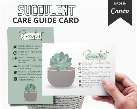 Succulent Care Instructions Printable Free